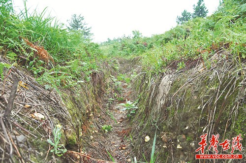 长沙会战秘史:4大战血染河丘 ＂战至牺牲为止＂_湖南名人网