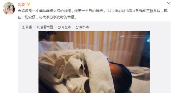 刘璇产子取名“雄赳赳” 老公王弢家境惊人 _湖南名人网