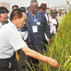 袁隆平:把中国人的饭碗端在自己手里_湖南名人网
