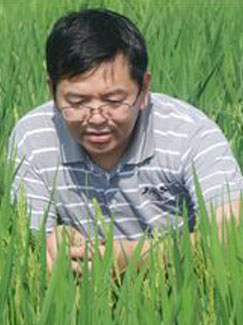 杨远柱，水稻育种专家，湖南怀化人_湖南名人网