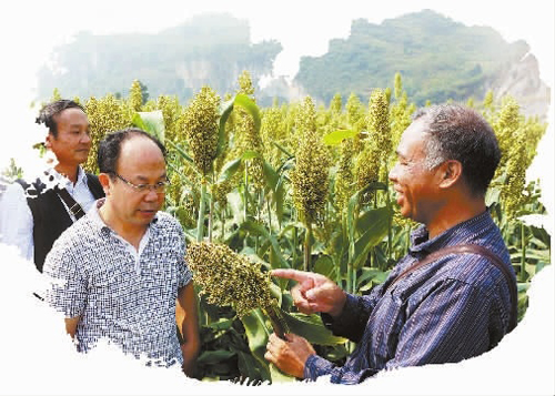 农民育种家鲁茂祥：半生忙碌只为糯粱香_湖南名人网