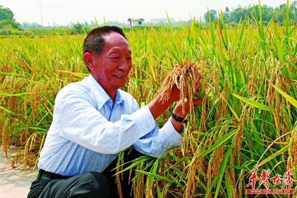 袁隆平： 当老师，就是为学生指引方向_湖南名人网